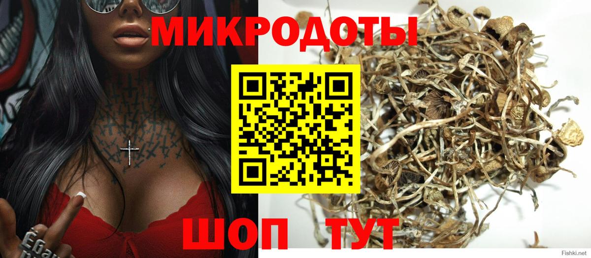 Галлюциногенные грибы мухоморы  Псилоцибиновые грибы GOLDEN TEACHER  Асино  Вход с VPN 