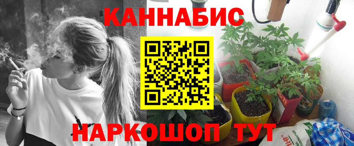Конопля индика Асино